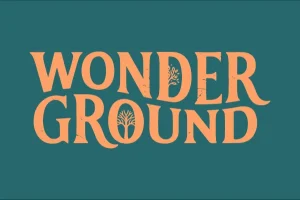 Logo de Wonderground